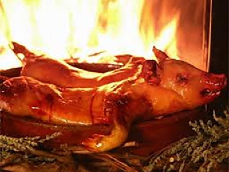 01 COCHINILLO