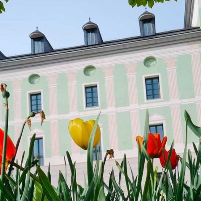 ¿Dónde comer en La Granja de San Ildefonso?