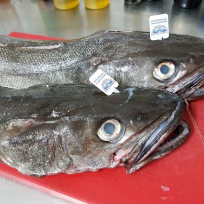 Lubinas frescas listas para cocinar