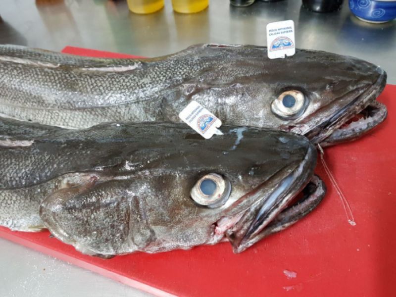 Lubinas frescas listas para cocinar