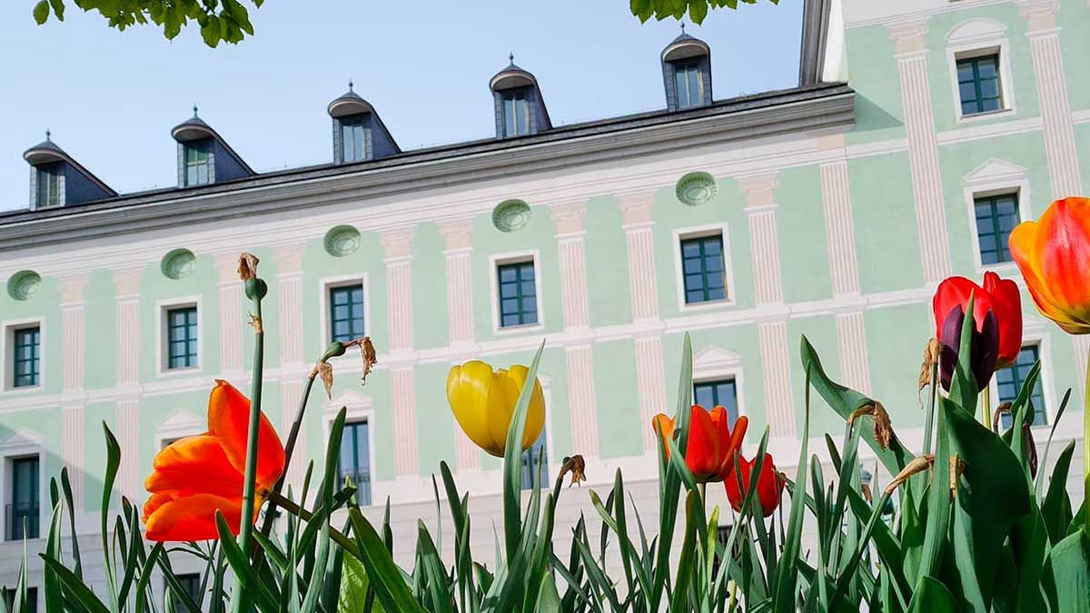 ¿Dónde comer en La Granja de San Ildefonso?